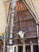 �M�`�����̉�